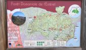 Tour Wandern Fréjus - JD 18/20 Ascension du mont Vinaigre - Photo 10