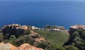 Randonnée Marche Saint-Raphaël - Autour des Pics du Cap Roux  et d'Aurelle depuis Belle Barbe - Photo 4