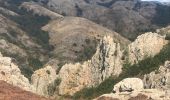 Tour Wandern Rosis - De l’Espinouse au Caroux - Photo 17