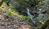 Randonnée Marche Lavaldens - Cabane de COMBOURSIERE - Photo 2