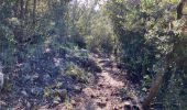 Trail Walking Draguignan - Malmont 10 km - Photo 3