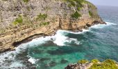 Trail Walking Saint-François - Guadeloupe - Anse à la Baie à Porte d'Enfer - Photo 7