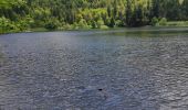 Tour Wandern Xonrupt-Longemer - retournemer hohnech schiesrothried blanchemer et lande  - Photo 6