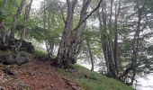 Tocht Stappen Ouzous - Pyrénées 2023 Jour 3 - Pic du Pibeste - Photo 8