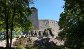 Percorso Marcia Dambach-la-Ville - Dambach - châteaux du Bernstein, de l'Ortenbourg et du Ramstein - Photo 9
