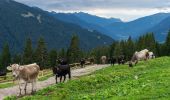 Trail On foot Pinzolo - IT-O277 - Photo 5