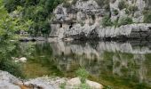 Tour Wandern Labastide-de-Virac - Les sentiers de L'Ardèche  - Photo 3