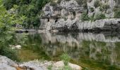 Randonnée Marche Labastide-de-Virac - Les sentiers de L'Ardèche  - Photo 3