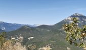 Excursión Senderismo Marignac-en-Diois - la montagne de Desses - Photo 3