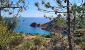 Tour Wandern Saint-Raphaël -  Plateau d’Anthéor & le Pic du Cap Roux - Photo 6