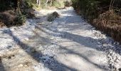 Trail Walking Frigiliana - Frigiliana Sierra Tejada - Photo 5