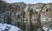 Randonnée Marche Rimbach-près-Masevaux - Rimbach - lacs du Neuweiher et des Perches par Rouge Gazon - Photo 16