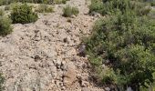 Excursión Senderismo Saint-Marc-Jaumegarde - Randonnée des crêtes au départ du barrage de Bimont  - Photo 13