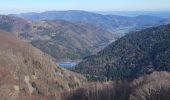 Excursión Senderismo Lepuix - Malvaux - Ballon d'Alsace (15/12 au 15/7) - Photo 17