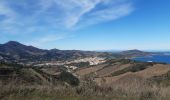 Percorso Marcia Banyuls-sur-Mer - banyuls . coll de gran bau . retour par le littoral  - Photo 14