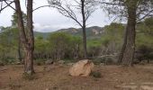 Tocht Stappen Puget-sur-Argens - z la lieutenante 28-01-20 - Photo 5