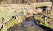 Tour Wandern Bütgenbach - Promenade le long de la Warche   - Photo 2