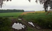 Excursión Senderismo Beauvechain - #240524b - Forêt de Meerdael, drève et étang de Warande - Photo 1