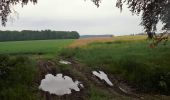 Randonnée Marche Beauvechain - #240524b - Forêt de Meerdael, drève et étang de Warande - Photo 1