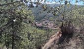 Tour Wandern Prades - codalet . coll de Clara . abbaye St Michel de Cuxa . canal bohère - Photo 17