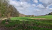 Trail Walking Huy - Beaufort - Vacheresse - vallée Sollière - Photo 1