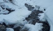 Trail Touring skiing Besse - Col Nazié depuis Besse-en-Oisans - Photo 6