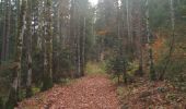 Trail Walking Remoray-Boujeons - vers la Baume et autour - Photo 1