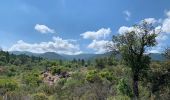 Tour Wandern Le Cannet-des-Maures - z le lac des escarcets 08-06-21 - Photo 2