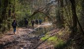 Tour Wandern Charencey - Saint-Maurice-les-Charencey - Tourouvre 28 km - Photo 3