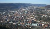 Tocht Te voet Gomadingen - Traufgang Schlossfelsen - Photo 8