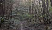 Trail Walking Toulon-sur-Arroux - RANDO_La_Croix_Des_Autrichiens - Photo 11