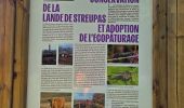 Tocht Stappen Luik - 🚂 à 🚂 Angleur/Esneux par le GR57 - Photo 5