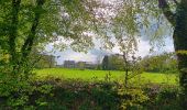 Trail Walking Theux - la reid . vert buisson . charmille / variante  - Photo 1