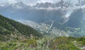 Percorso Marcia Les Houches - Chamonix :  l'aiguillette des Houches - Photo 7