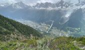 Excursión Senderismo Les Houches - Chamonix :  l'aiguillette des Houches - Photo 7