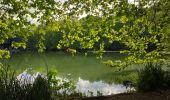 Randonnée Marche Clamart - Tour des etangs - Bois de Clamart et de Meudon - Photo 4