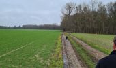 Tocht Stappen Zinnik - Tour château de Thoricourt - Photo 11