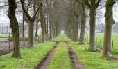 Tour Wandern Woensdrecht - Volksabdij Kalmthout 14,8 km - Photo 7