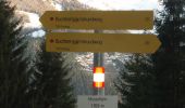 Excursión A pie Goldegg - Buchberg-Gipfelrundweg - Photo 7