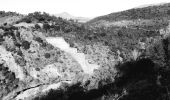 Tour Wandern Fréjus - Pk Malpasset à piste les Escolles et retour - Photo 6