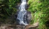 Trail Walking Gérardmer - 11-06-2022 saut de la bourrique, cascade de mer elle , tête de merelle. - Photo 5