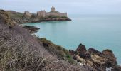 Tour Wandern Fréhel - PORT à  la DUC.     ..... FORT LALATTE - Photo 9