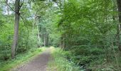 Trail Walking Westerlo - Westerlo Averbode 25,7 km - Photo 6