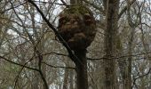 Trail Walking Vauchassis - Bucey randonnée 28 03 2023 - Photo 1
