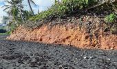 Percorso Marcia Unknown - Plage de Grande Anse Le Lorrain - Photo 17