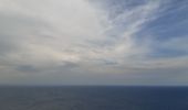 Trail Walking Port-Vendres - port vendre . cap bear / retour  - Photo 3