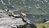 Trail Walking Pralognan-la-Vanoise - col d'Aussois et pointe de l'Observatoire - Photo 20