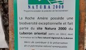 Tour Wandern Villeneuve - VILLENEUVE La Roche amere  , Chapelle notre-dame de la Roche  moy n  - Photo 5