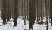 Tour Zu Fuß Schmitten - Sandplacken: Milan - Photo 2