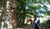 Trail Horseback riding Métairies-Saint-Quirin - rond pré baronnie château Turquestein la forêt  - Photo 15